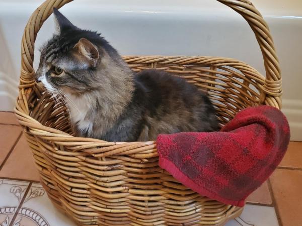 Large Vintage Basket, Blanket Storage